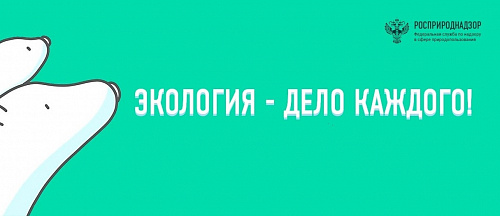 Росприроднадзор поздравил победителей Международной детско-юношеской премии «Экология - дело каждого» от Республики Хакасия